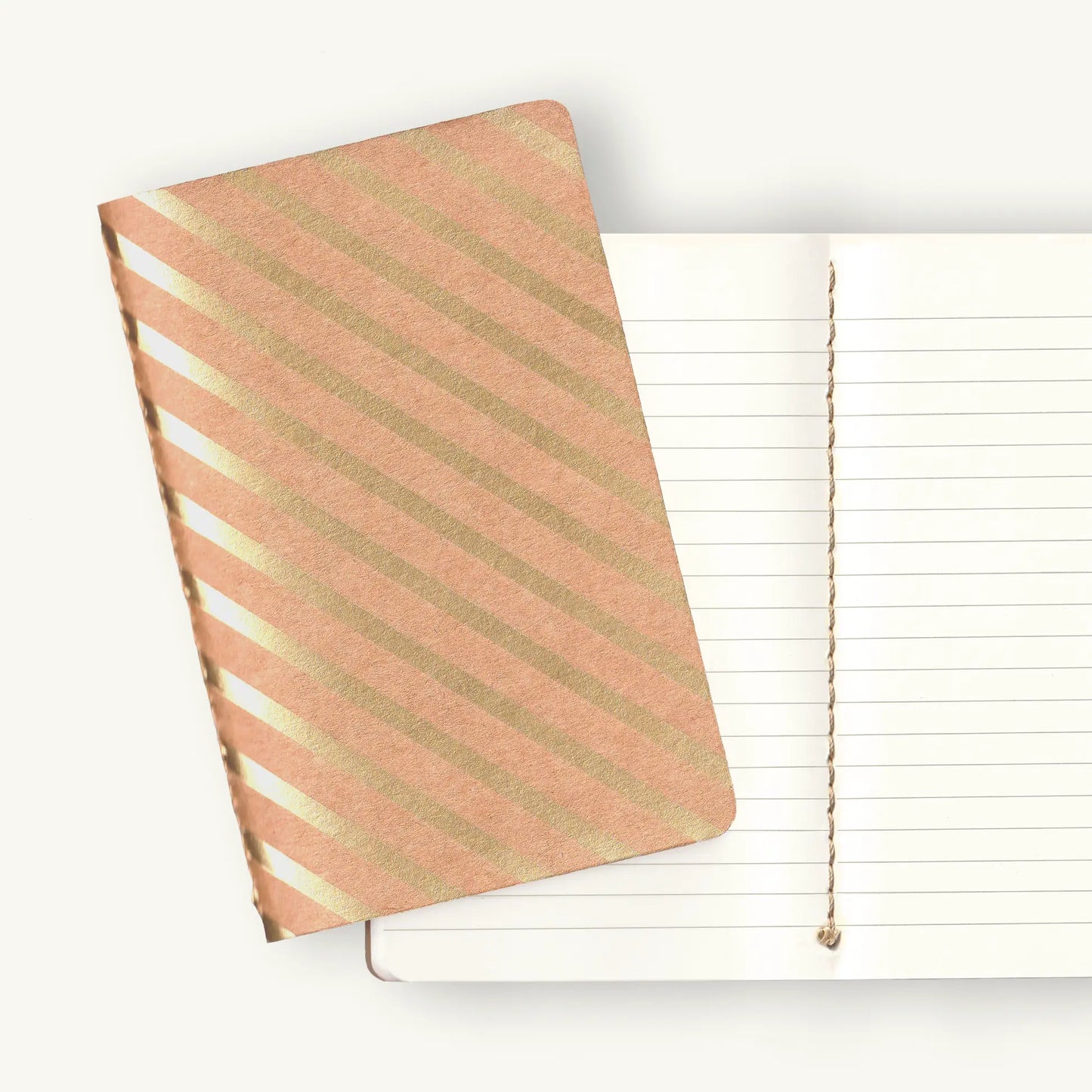 Cahier Journal Set of 3